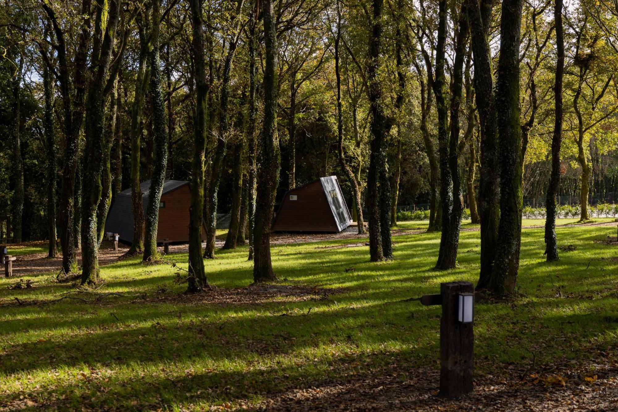 Ecocamp San By Suitesnature * Lugo